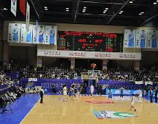 福建男篮主场擒敌，外援发威球队齐心协力的简单介绍